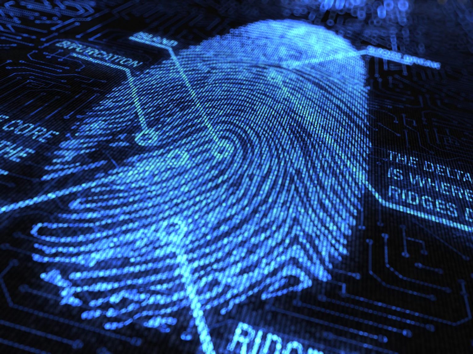 Why are Fingerprint Scans Required as Part of Background Checks? | Law