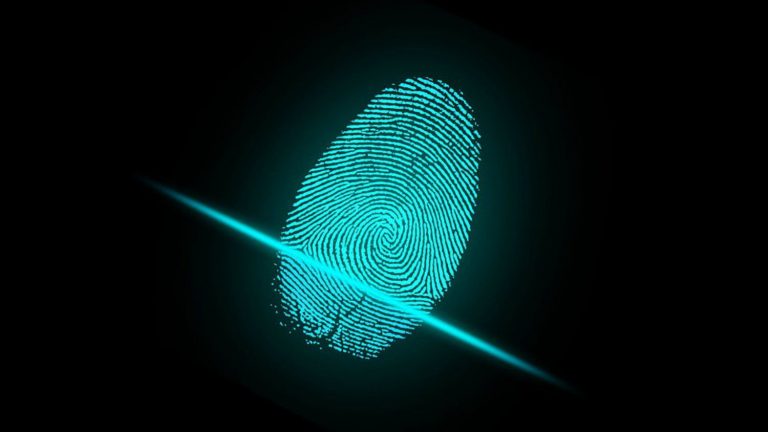 fingerprint background check